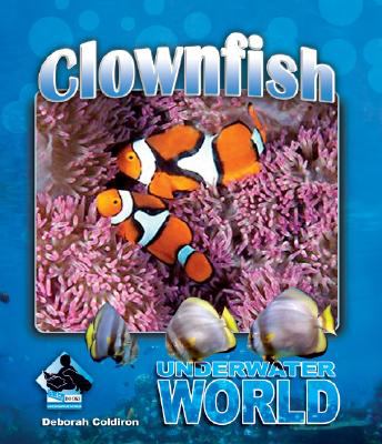 Clownfish