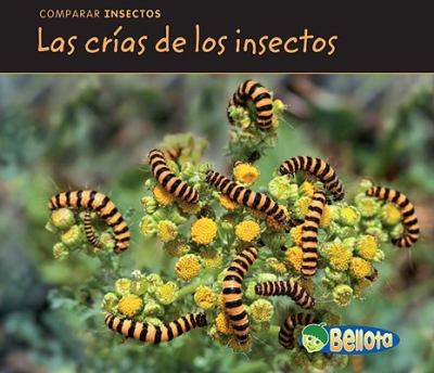 Las crías de los insectos