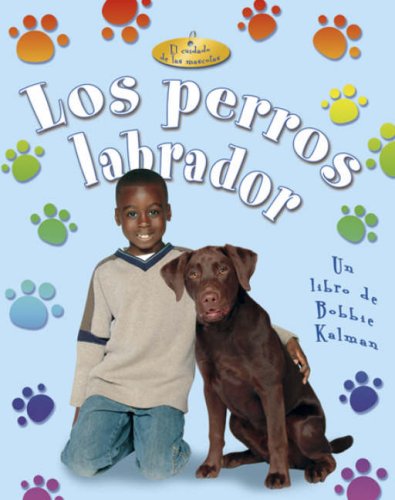 Los perros labradors