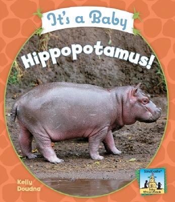 It's a baby hippopotamus!