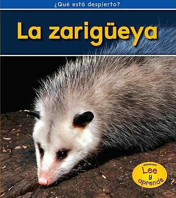 La zarigüeya