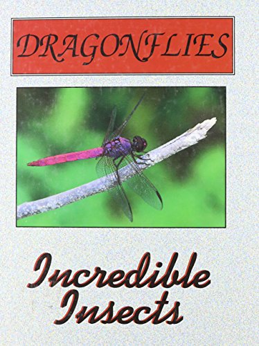 Dragonflies