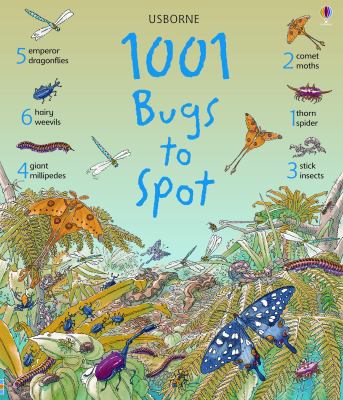1001 bugs to spot