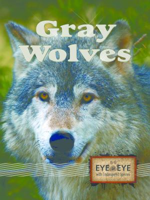 Gray wolves