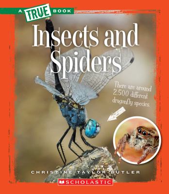 Insects and spiders