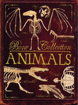 Bone collection : dinosaurs and other prehistoric animals