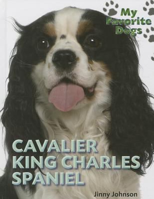 Cavalier King Charles spaniel