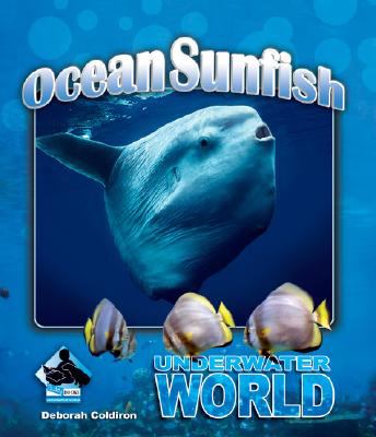 Ocean Sunfish