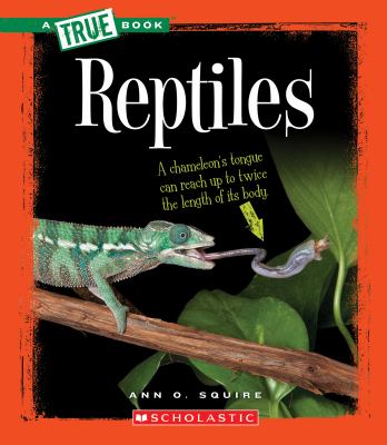 Reptiles