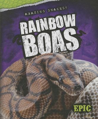 Rainbow boas