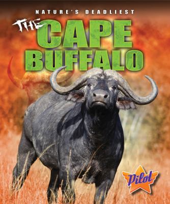 The Cape buffalo