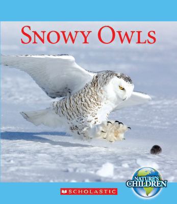 Snowy owls