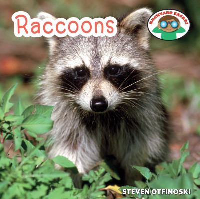 Raccoons