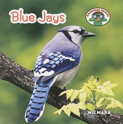 Blue jays