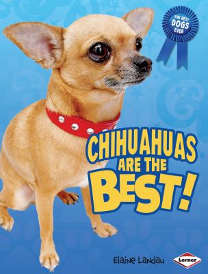 Chihuahuas are the best!