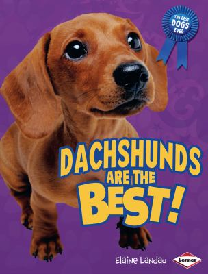 Dachshunds are the best!