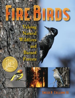 Fire birds : valuing natural wildfires and burned forests