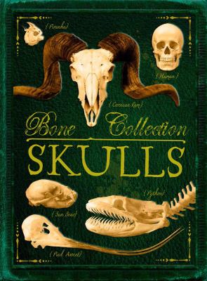 Bone collection : skulls