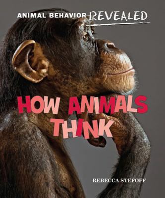 How animals think