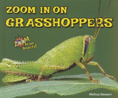 Zoom in on grasshoppers