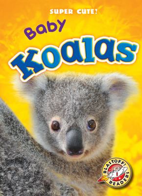 Baby koalas