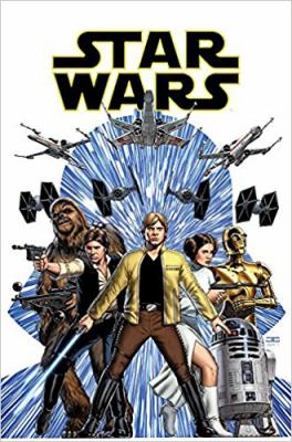 Skywalker Strikes : Star Wars. Vol. 1, Skywalker strikes /