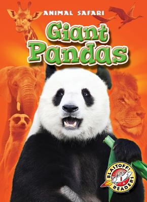 Giant pandas : Animal Safari
