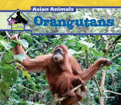 Orangutans