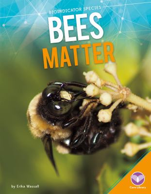 Bees matter