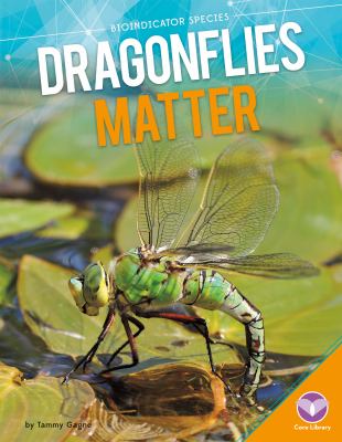 Dragonflies matter