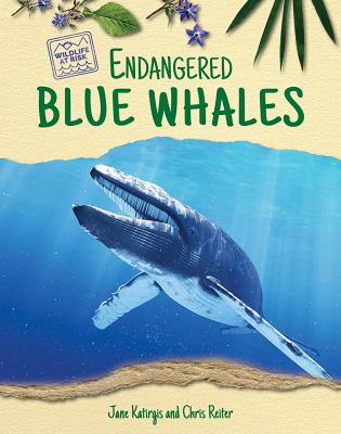 Endangered blue whales