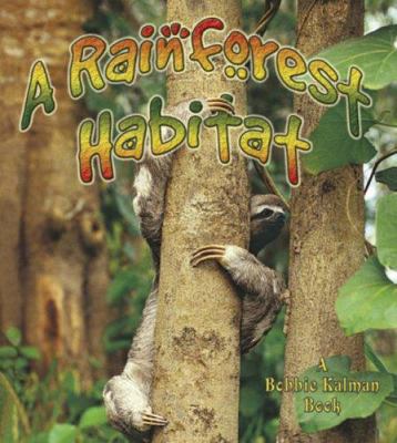 A rainforest habitat