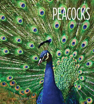 Peacocks