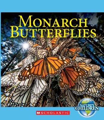 Monarch butterflies