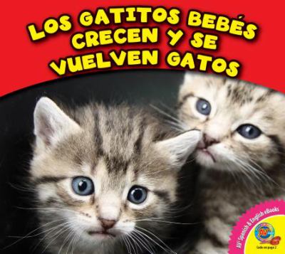 Los gatitos bebés crecen y se vuelven gatos