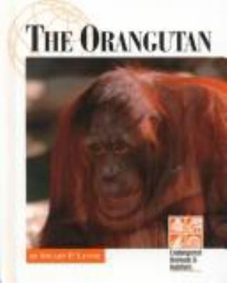 The orangutan