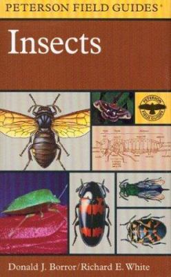 A field guide to the insects : America north of Mexico