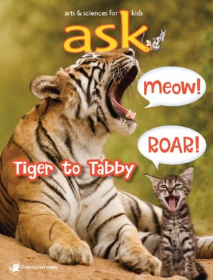 Ask : Tiger to tabby.