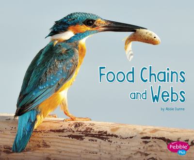 Food chains and webs