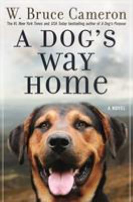 A dog's way home