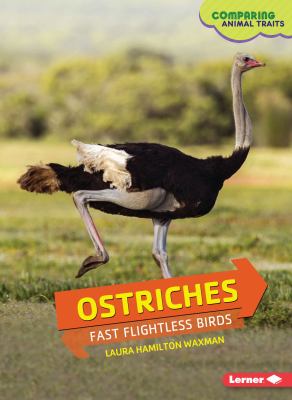 Ostriches : fast flightless birds