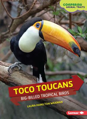 Toco toucans : big-billed tropical birds