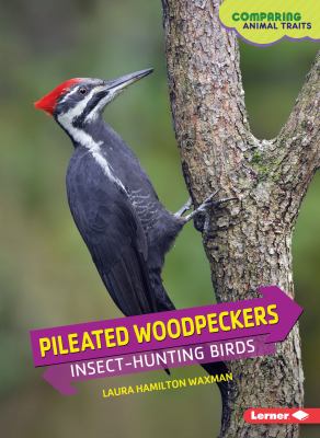 Pileated woodpeckers : insect-hunting birds