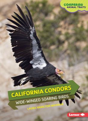 California condors : wide-winged soaring birds