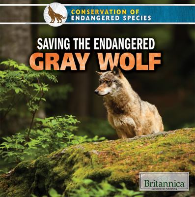 Saving the endangered gray wolf