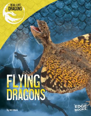 Flying dragons