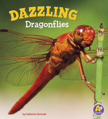 Dazzling dragonflies