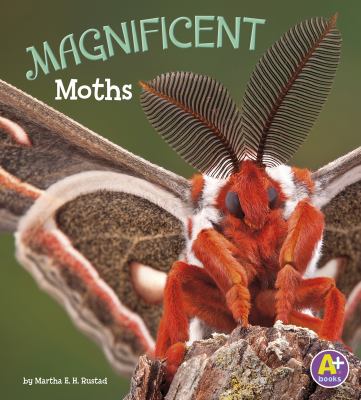 Magnificent moths