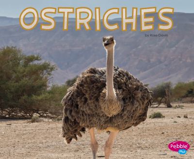 Ostriches