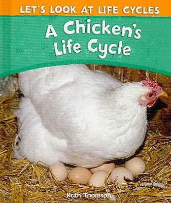 A chicken's life cycle
